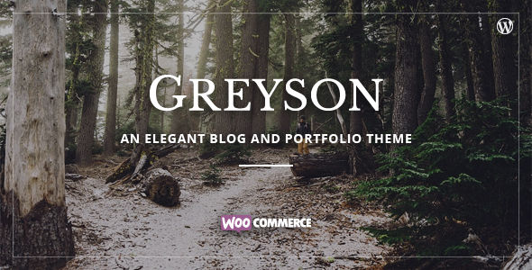قالب Greyson - قالب وردپرس بلاگی و نمونه کار