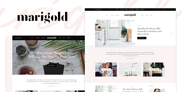 قالب Marigold - یک قالب وبلاگ و فروشگاه وردپرس