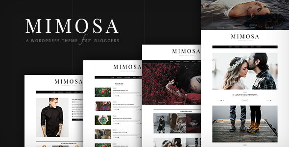 قالب Mimosa - قالب وردپرس برای وبلاگ نویسان