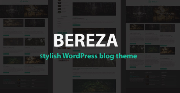 قالب Bereza - قالب وردپرس وبلاگی
