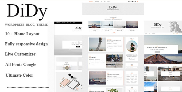 قالب DiDy - قالب چند منظوره وبلاگ برای وردپرس