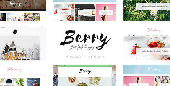 قالب Berry - قالب وردپرس بلاگ شخصی و فروشگاهی