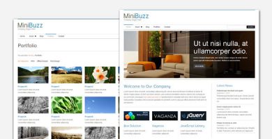 قالب MiniBuzz - قالب وردپرس کسب و کار