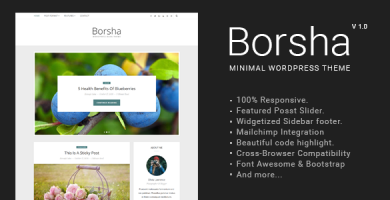 قالب Borsha - قالب وبلاگی مینیمال وردپرس