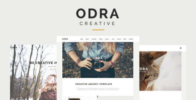 قالب ODRA - قالب وردپرس چند منظوره خلاقانه