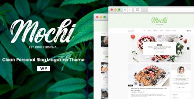 قالب Mochi - قالب وبلاگ شخصی برای وردپرس