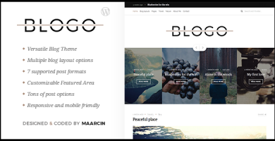قالب Blogo - قالب وردپرس وبلاگی