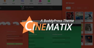 قالب Cinematix - قالب انجمن بادی پرس