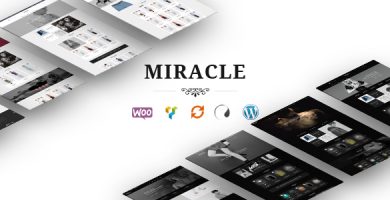 قالب Miracle - قالب وردپرس فروشگاهی