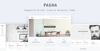 قالب Pasha - قالب وردپرس خلاقانه