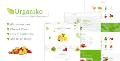 قالب Organiko - قالب وردپرس تجارت مواد غذایی